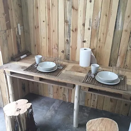 Cactus Host Hostel *