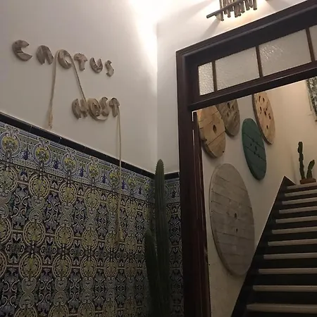 Cactus Host Hostel *