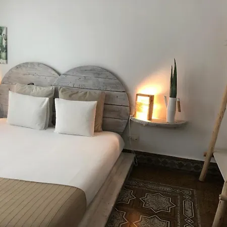 Hostel Cactus Host *