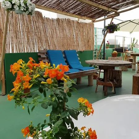 Hostel Cactus Host *