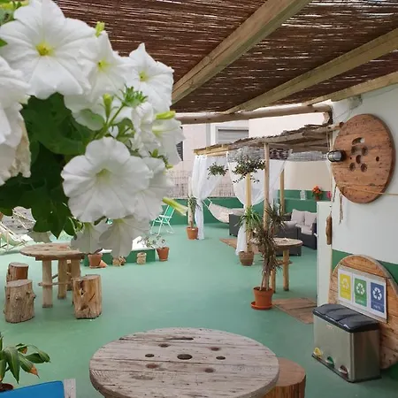 Cactus Host Las Palmas de Gran Canaria