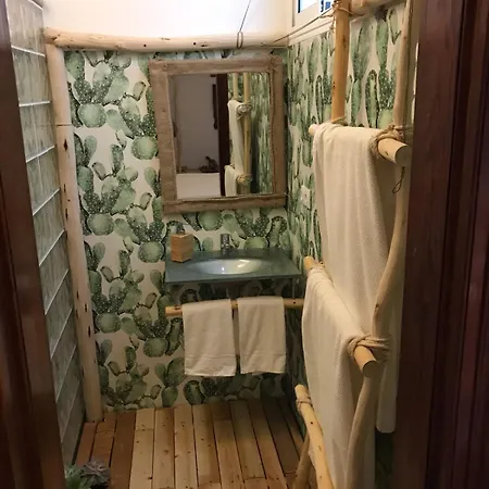 Hostel Cactus Host Las Palmas de Gran Canaria