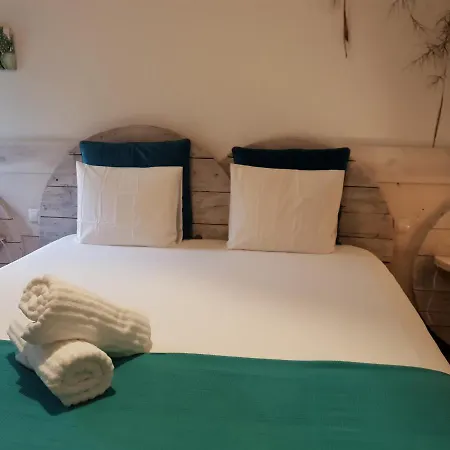 Cactus Host Hostel