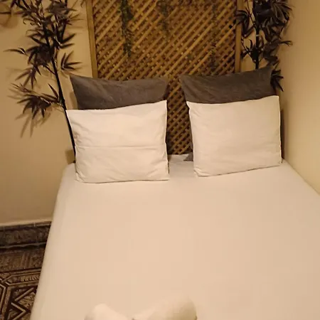 Cactus Host Hostel *