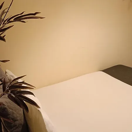 Cactus Host *