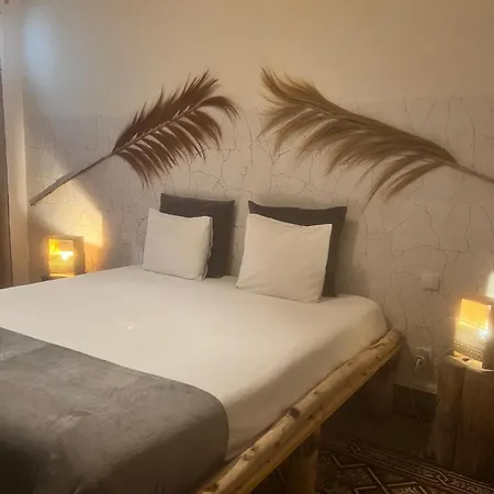 Cactus Host