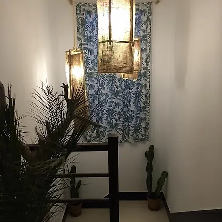Hostel Cactus Host
