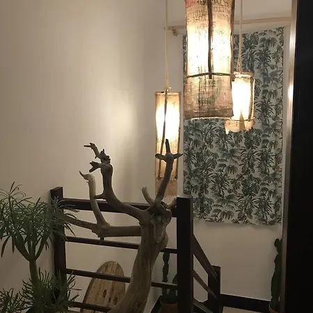 Cactus Host Hostel