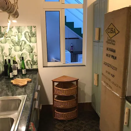 Cactus Host