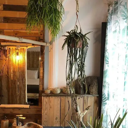 Cactus Host *