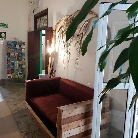 Albergue Cactus Host Las Palmas de Gran Canárias