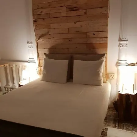 Hostel Cactus Host