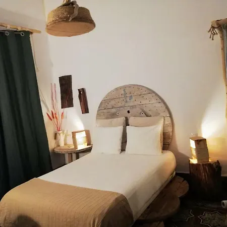 Hostel Cactus Host