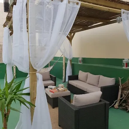 Cactus Host *