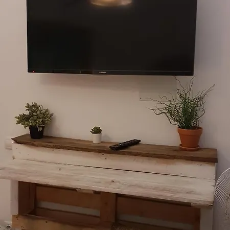 Hostel Cactus Host