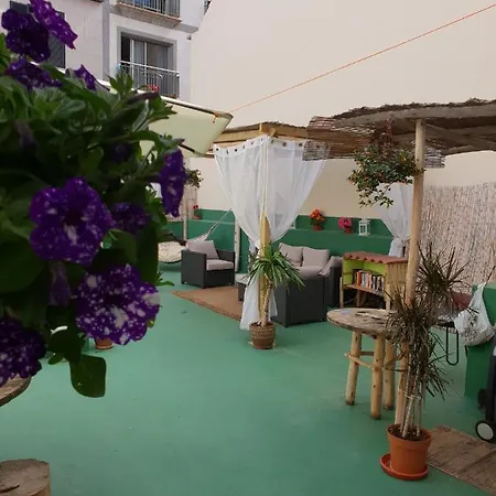 Hostel Cactus Host