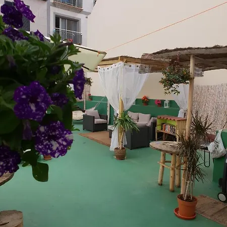 Hostel Cactus Host