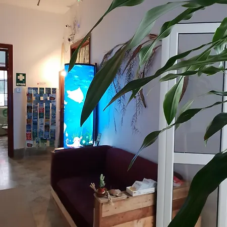 Hostel Cactus Host Las Palmas