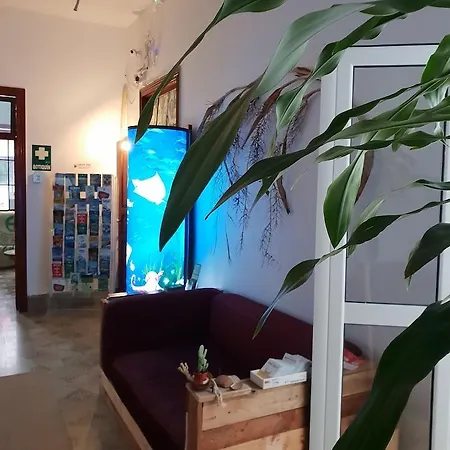 Hostel Cactus Host Las Palmas de Gran Canaria