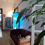 Auberge de jeunesse Cactus Host Las Palmas de Gran Canaria