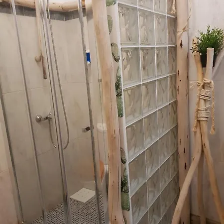 Cactus Host אכסניה