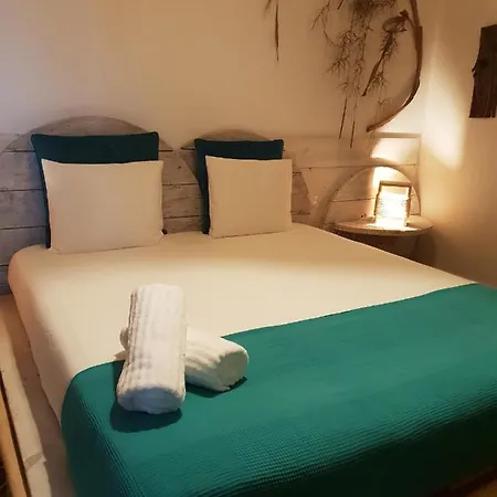 אכסניה Cactus Host