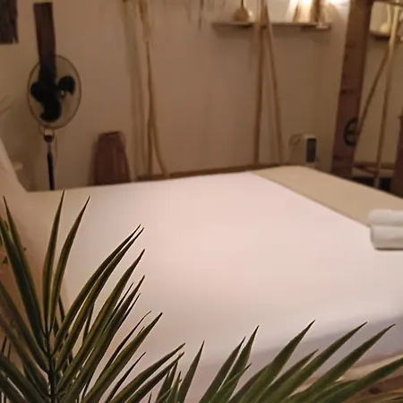 אכסניה Cactus Host *