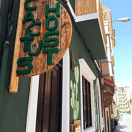 Cactus Host Auberge de jeunesse Las Palmas de Gran Canaria