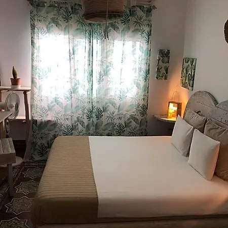 Auberge de jeunesse Cactus Host *