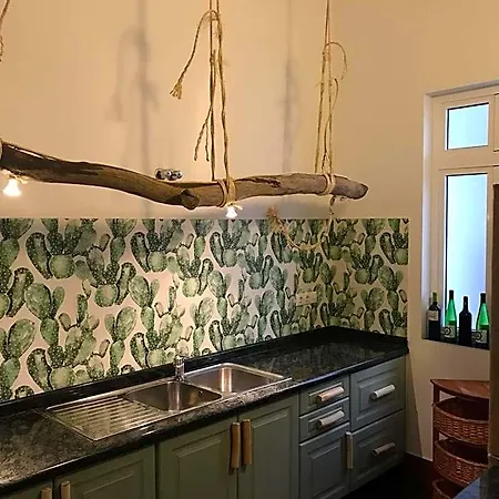 Cactus Host *