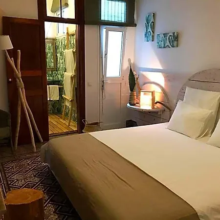 Cactus Host Auberge de jeunesse Las Palmas de Gran Canaria