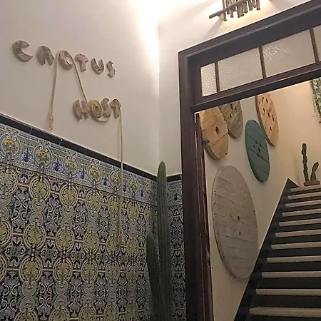 Hostel Cactus Host