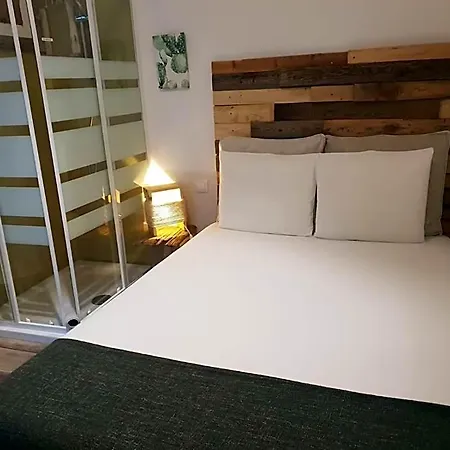 Cactus Host