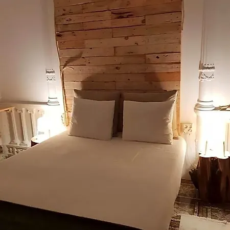 Cactus Host Auberge de jeunesse *