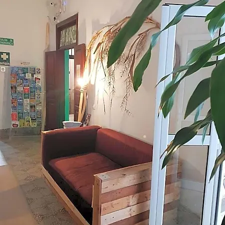 Cactus Host Auberge de jeunesse Las Palmas de Gran Canaria