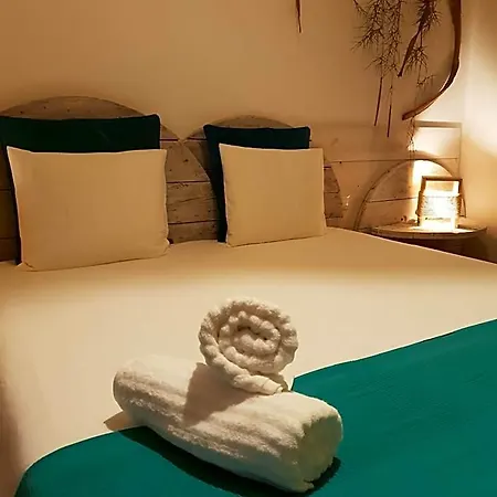 אכסניה Cactus Host *
