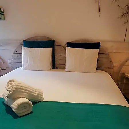 Cactus Host