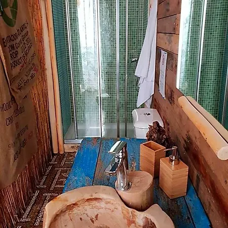 Cactus Host אכסניה *