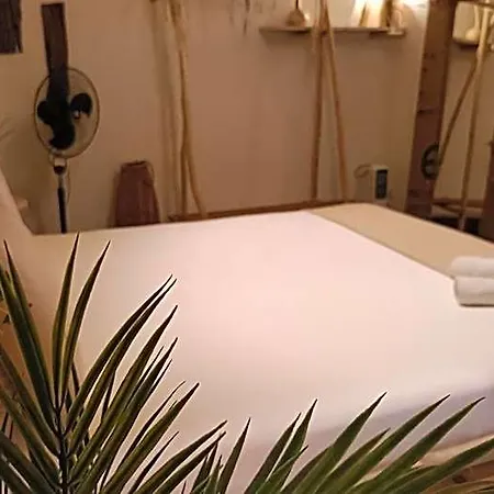 Cactus Host Auberge de jeunesse Las Palmas de Gran Canaria