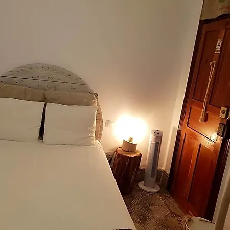 Auberge de jeunesse Cactus Host Las Palmas de Gran Canaria