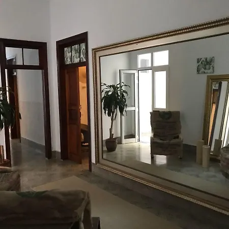 Vandrarhem Cactus Host *