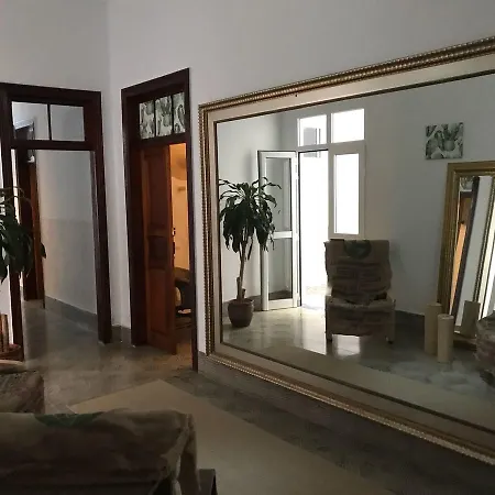 بيت شباب Cactus Host *