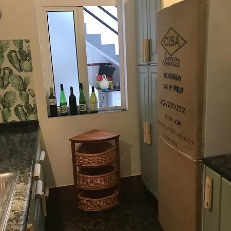 Cactus Host 호스텔 *