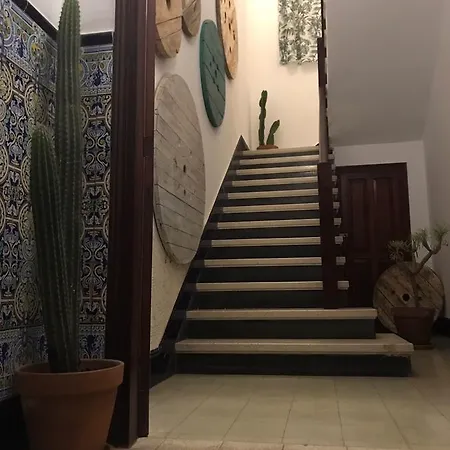 Cactus Host Hostel Las Palmas