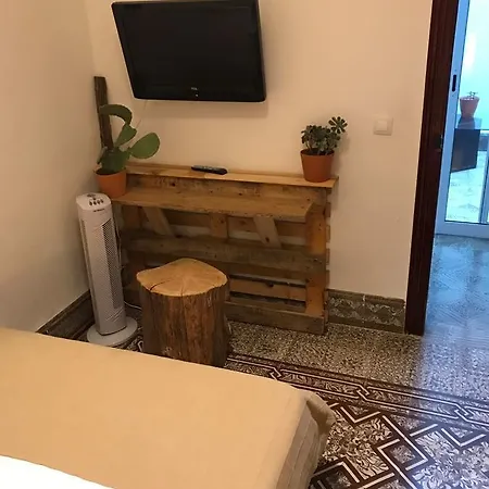 אכסניה Cactus Host *