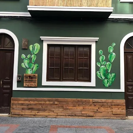 بيت شباب Cactus Host