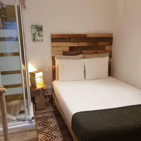 אכסניה Cactus Host *
