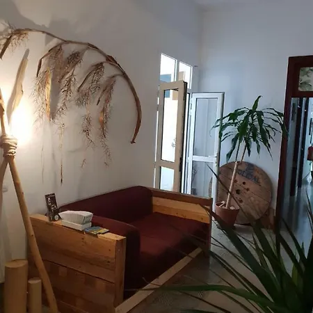 Cactus Host * Las Palmas de Gran Canaria