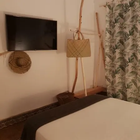 Cactus Host אכסניה