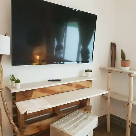 אכסניה Cactus Host *